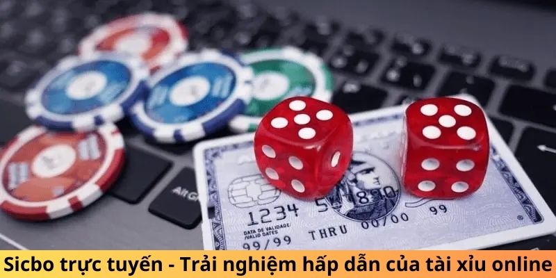 Sicbo trực tuyến - Trải nghiệm hấp dẫn của tài xỉu online